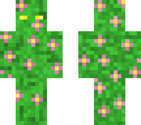 flower swamp man