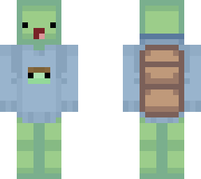turtle with turtle hoodie