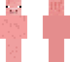 pig