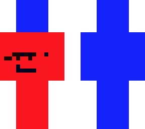 the minecraft pro