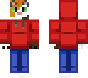 calico hoodie cat