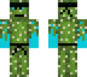 ninja cactus
