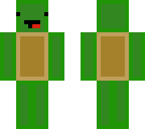 mickey_turtle