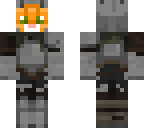 cat knight