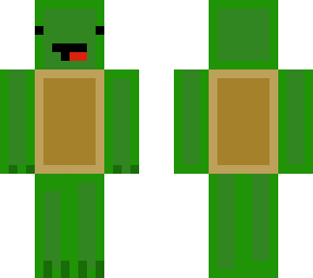 maiki_turtle