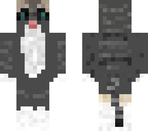 my cat tukits
