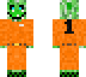 creeperguy193's special shirt!