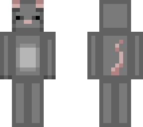 grey rat