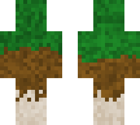 grass dirt stone