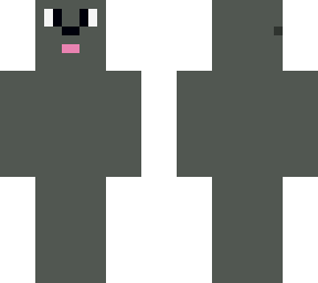the cat