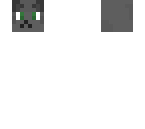 collab with penguin