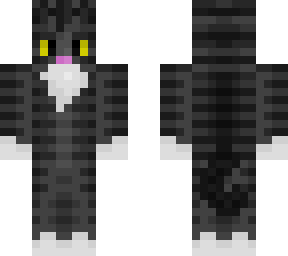 my cat tomtom