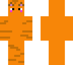 cute tabby cat