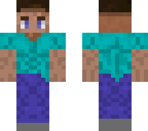 steve1.0