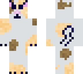 calico cat