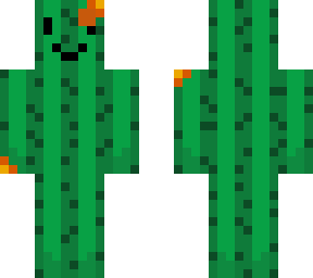 barrel cactus