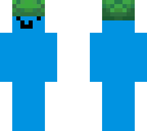blue turtle hat