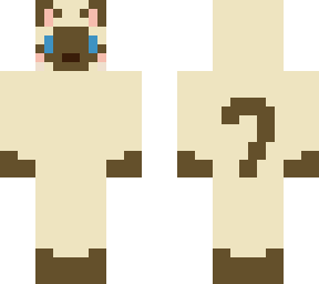 siamese kitty