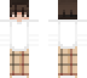chills minecraft skin