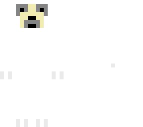 bella the sloth