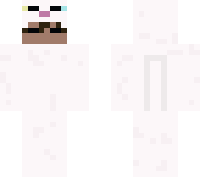 white minecraft cat