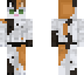 -~ sir calico ~-