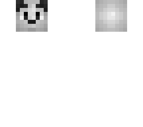 dalmation head