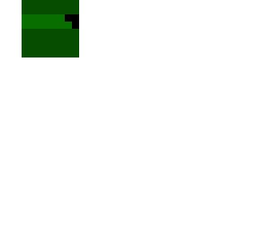 hypixel guild custom head