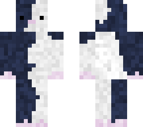 cute cat