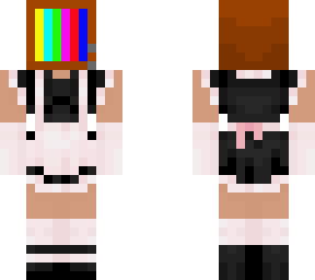 tv-maid