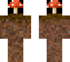 red musrhroom on podzol