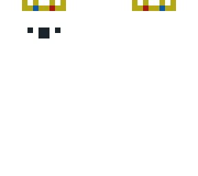 paladinmc guy