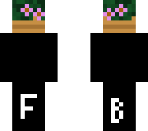 potted pink flowers head