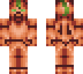 carrotsteve