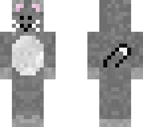 kitty cat
