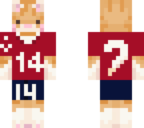 volleyball player