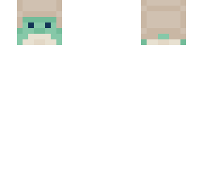decorative green turtle