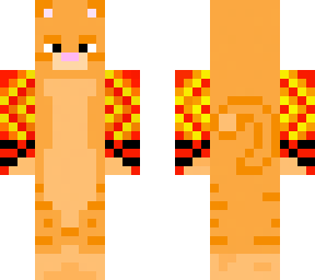 cat boxer