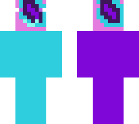 skin for felion247