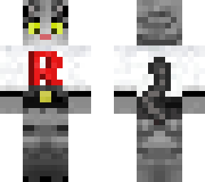 team rocket cat