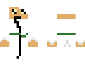 the ninja skin