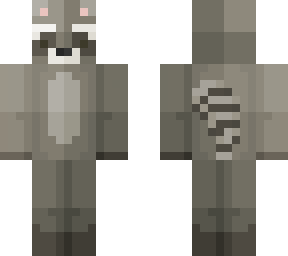 racoon (1)