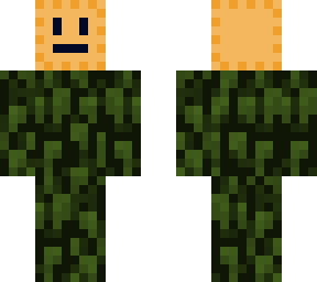 ravioli camo