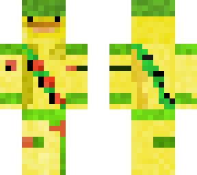 army duck