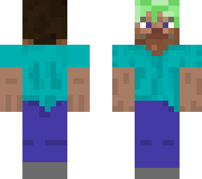 dirt steve