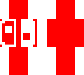 nintendo skin