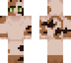 patchkit (warrior cats)