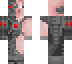cyborg pig (edited)