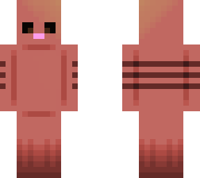 armadillo