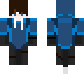 skin de logis